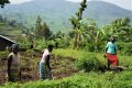Securing women's land rights in Rwanda