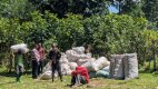 How Technology Is Enabling Rwanda's Potato Farmers Defeat Middlemen and Increase Incomes
