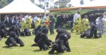 Rwanda's Kwita Izina Returns With 40 Gorillas to Be Named