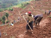 Rwanda Expands Crop Drive to Boost Food Security