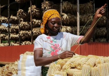Rwanda Faces Growing Food Gap as Imports Soar, Officials Say