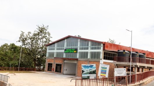 Rwanda Builds Drying Facilities to Cut Post-Harvest Losses of Onions and Chili Peppers