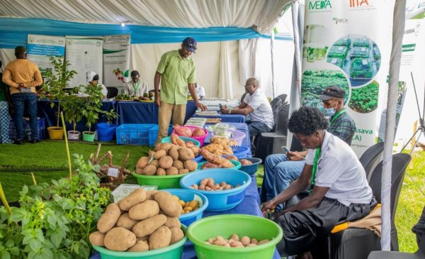 MINAGRI announces dates for 19th Agriculture and Livestock Exhibition