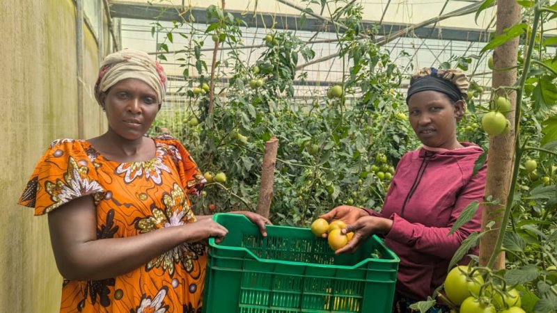 Market access innovation helps farmers cut post-harvest losses, double incomes.